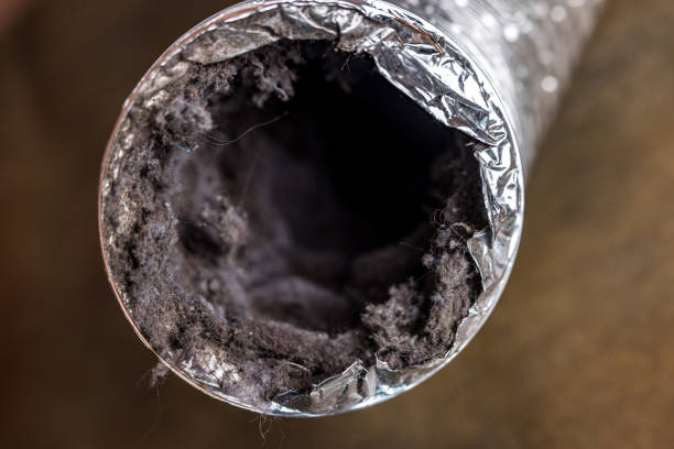 Best Air Duct Inspection  in Mion, AR